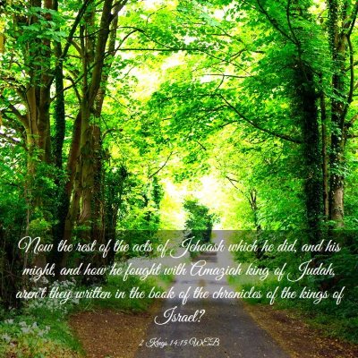Picture 03 - 2 Kings 14:15 WEB - Now the rest of the acts of Jehoash which he did, - Bible Verse Picture