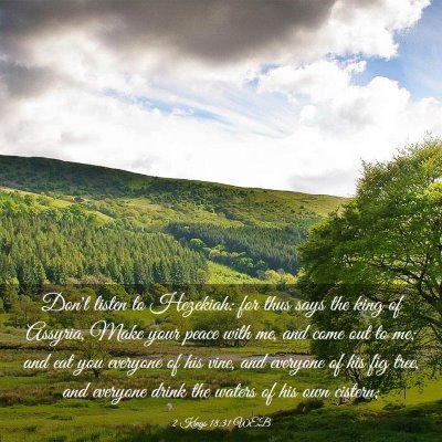 Picture 03 - 2 Kings 18:31 WEB - Don't listen to Hezekiah: for thus says the king - Bible Verse Picture