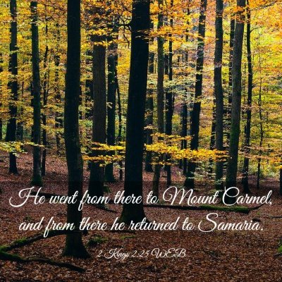 Picture 03 - 2 Kings 2:25 WEB - He went from there to Mount Carmel, and from - Bible Verse Picture