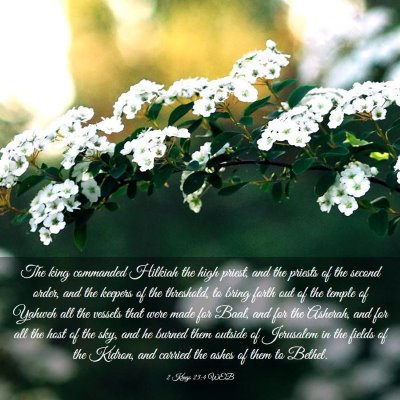 Picture 03 - 2 Kings 23:4 WEB - The king commanded Hilkiah the high priest, and - Bible Verse Picture