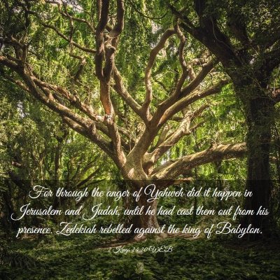 Picture 03 - 2 Kings 24:20 WEB - For through the anger of Yahweh did it happen in - Bible Verse Picture