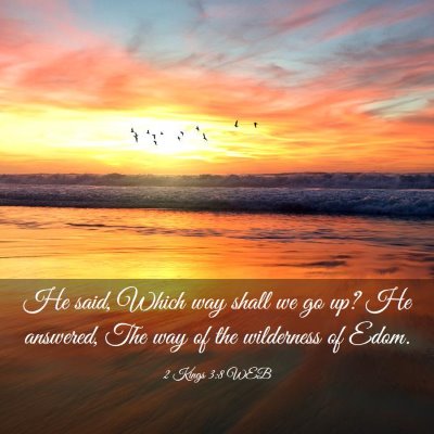 Picture 03 - 2 Kings 3:8 WEB - He said, Which way shall we go up? He answered, - Bible Verse Picture