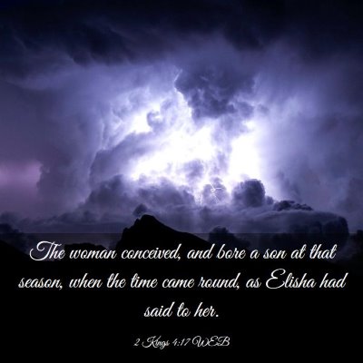 Picture 03 - 2 Kings 4:17 WEB - The woman conceived, and bore a son at that - Bible Verse Picture