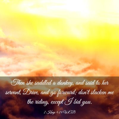 Picture 03 - 2 Kings 4:24 WEB - Then she saddled a donkey, and said to her - Bible Verse Picture