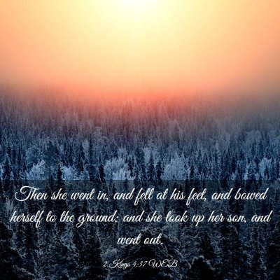 Picture 03 - 2 Kings 4:37 WEB - Then she went in, and fell at his feet, and bowed - Bible Verse Picture