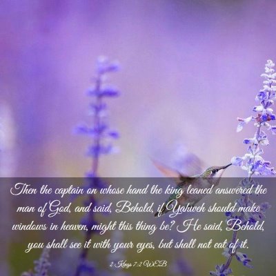 Picture 03 - 2 Kings 7:2 WEB - Then the captain on whose hand the king leaned - Bible Verse Picture