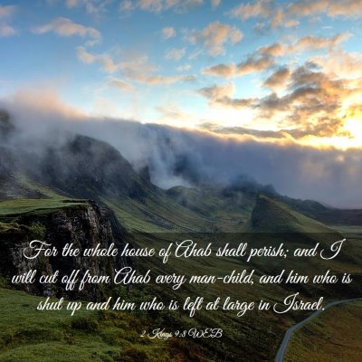 Picture 03 - 2 Kings 9:8 WEB - For the whole house of Ahab shall perish; and I - Bible Verse Picture