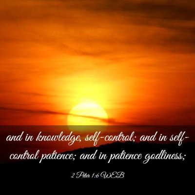 Picture 03 - 2 Peter 1:6 WEB - and in knowledge, self-control; and in - Bible Verse Picture