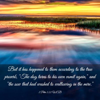Picture 03 - 2 Peter 2:22 WEB - But it has happened to them according to the true - Bible Verse Picture