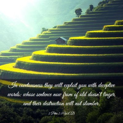 Picture 03 - 2 Peter 2:3 WEB - In covetousness they will exploit you with - Bible Verse Picture
