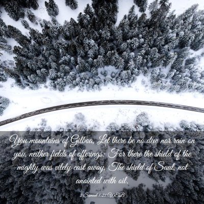 Picture 03 - 2 Samuel 1:21 WEB - You mountains of Gilboa, Let there be no dew nor - Bible Verse Picture