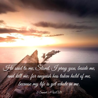 Picture 03 - 2 Samuel 1:9 WEB - He said to me, Stand, I pray you, beside me, and - Bible Verse Picture