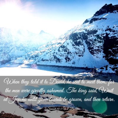 Picture 03 - 2 Samuel 10:5 WEB - When they told it to David, he sent to meet them; - Bible Verse Picture