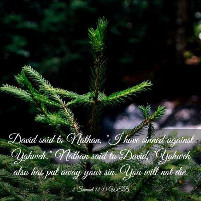 Picture 03 - 2 Samuel 12:13 WEB - David said to Nathan, 