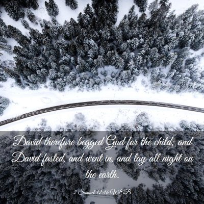 Picture 03 - 2 Samuel 12:16 WEB - David therefore begged God for the child; and - Bible Verse Picture