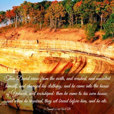 Picture 03 - 2 Samuel 12:20 WEB - Then David arose from the earth, and washed, and - Bible Verse Picture