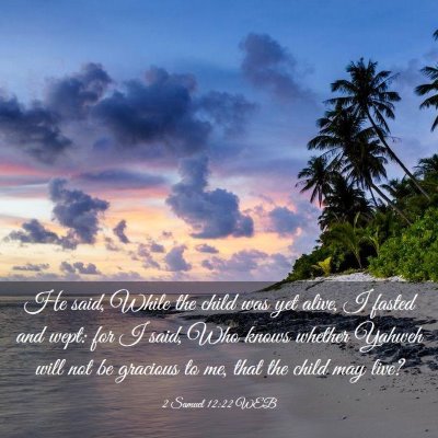 Picture 03 - 2 Samuel 12:22 WEB - He said, While the child was yet alive, I fasted - Bible Verse Picture