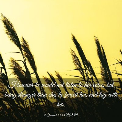 Picture 03 - 2 Samuel 13:14 WEB - However he would not listen to her voice; but - Bible Verse Picture