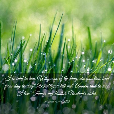 Picture 03 - 2 Samuel 13:4 WEB - He said to him, Why, son of the king, are you - Bible Verse Picture
