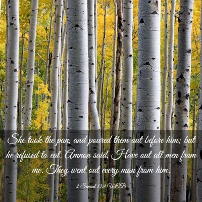 Picture 03 - 2 Samuel 13:9 WEB - She took the pan, and poured them out before him; - Bible Verse Picture