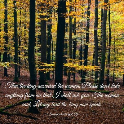 Picture 03 - 2 Samuel 14:18 WEB - Then the king answered the woman, Please don't - Bible Verse Picture