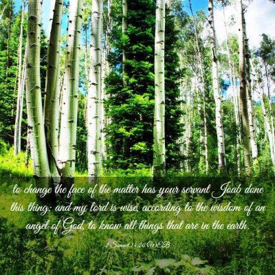 Picture 03 - 2 Samuel 14:20 WEB - to change the face of the matter has your servant - Bible Verse Picture