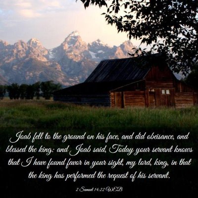 Picture 03 - 2 Samuel 14:22 WEB - Joab fell to the ground on his face, and did - Bible Verse Picture