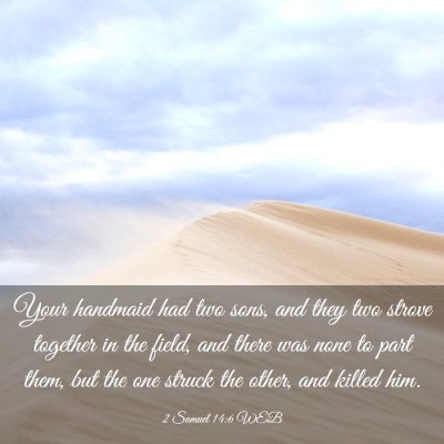 Picture 03 - 2 Samuel 14:6 WEB - Your handmaid had two sons, and they two strove - Bible Verse Picture