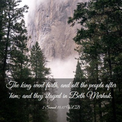 Picture 03 - 2 Samuel 15:17 WEB - The king went forth, and all the people after - Bible Verse Picture