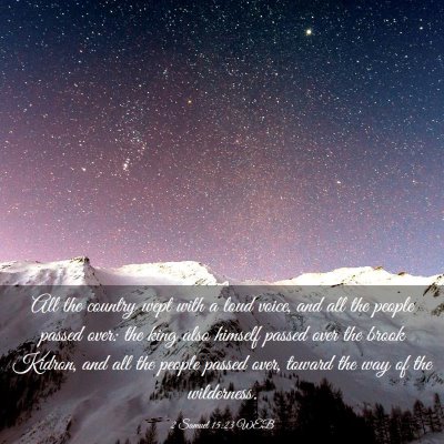 Picture 03 - 2 Samuel 15:23 WEB - All the country wept with a loud voice, and all - Bible Verse Picture