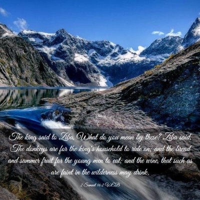 Picture 03 - 2 Samuel 16:2 WEB - The king said to Ziba, What do you mean by these? - Bible Verse Picture