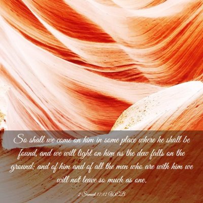 Picture 03 - 2 Samuel 17:12 WEB - So shall we come on him in some place where he - Bible Verse Picture
