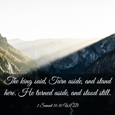 Picture 03 - 2 Samuel 18:30 WEB - The king said, Turn aside, and stand here. He - Bible Verse Picture