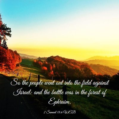 Picture 03 - 2 Samuel 18:6 WEB - So the people went out into the field against - Bible Verse Picture