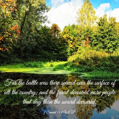 Picture 03 - 2 Samuel 18:8 WEB - For the battle was there spread over the surface - Bible Verse Picture