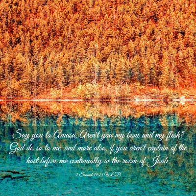 Picture 03 - 2 Samuel 19:13 WEB - Say you to Amasa, Aren't you my bone and my - Bible Verse Picture
