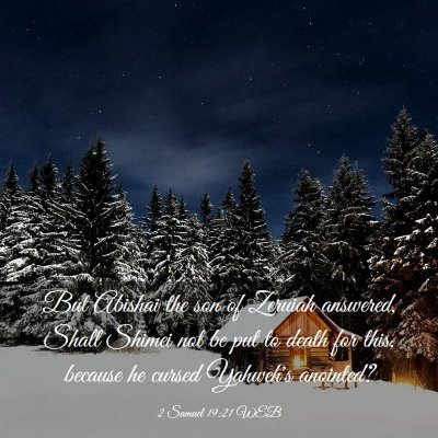Picture 03 - 2 Samuel 19:21 WEB - But Abishai the son of Zeruiah answered, Shall - Bible Verse Picture