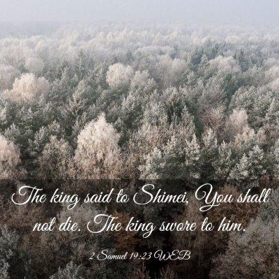 Picture 03 - 2 Samuel 19:23 WEB - The king said to Shimei, You shall not die. The - Bible Verse Picture