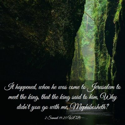 Picture 03 - 2 Samuel 19:25 WEB - It happened, when he was come to Jerusalem to - Bible Verse Picture