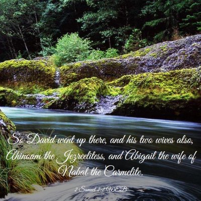 Picture 03 - 2 Samuel 2:2 WEB - So David went up there, and his two wives also, - Bible Verse Picture