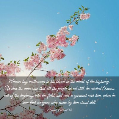 Picture 03 - 2 Samuel 20:12 WEB - Amasa lay wallowing in his blood in the midst of - Bible Verse Picture