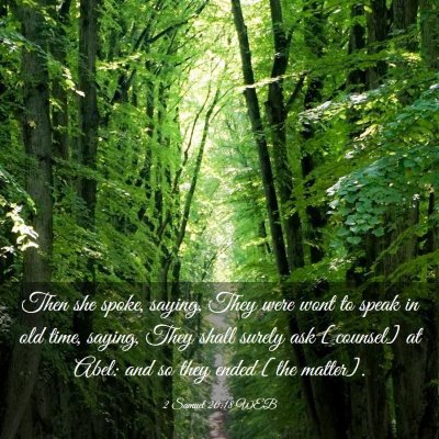 Picture 03 - 2 Samuel 20:18 WEB - Then she spoke, saying, They were wont to speak - Bible Verse Picture