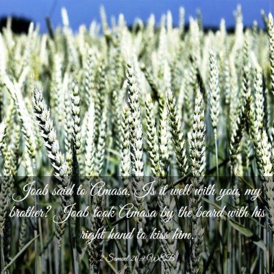 Picture 03 - 2 Samuel 20:9 WEB - Joab said to Amasa, Is it well with you, my - Bible Verse Picture