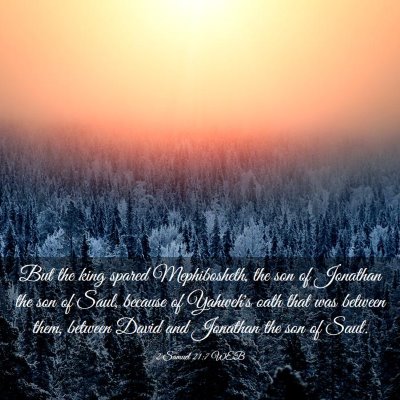Picture 03 - 2 Samuel 21:7 WEB - But the king spared Mephibosheth, the son of - Bible Verse Picture