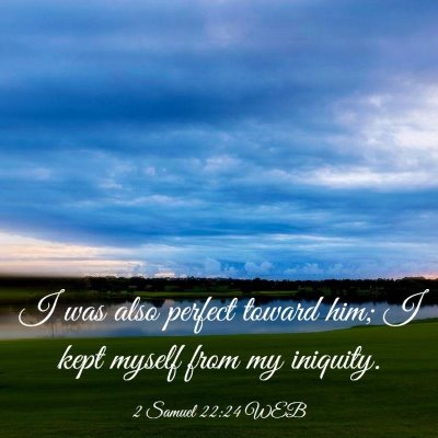 Picture 03 - 2 Samuel 22:24 WEB - I was also perfect toward him; I kept myself from - Bible Verse Picture