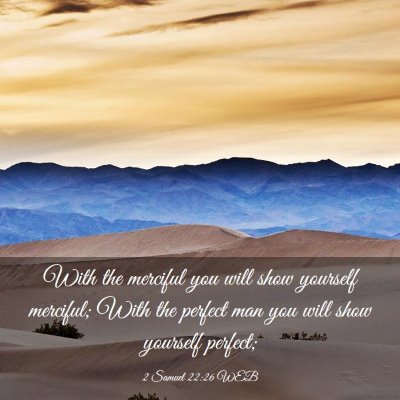 Picture 03 - 2 Samuel 22:26 WEB - With the merciful you will show yourself - Bible Verse Picture