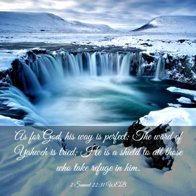 Picture 03 - 2 Samuel 22:31 WEB - As for God, his way is perfect: The word of - Bible Verse Picture