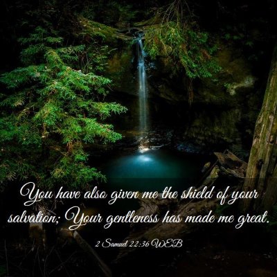 Picture 03 - 2 Samuel 22:36 WEB - You have also given me the shield of your - Bible Verse Picture