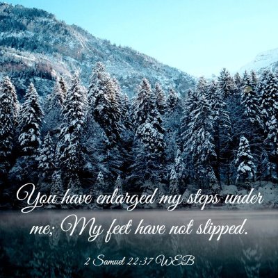 Picture 03 - 2 Samuel 22:37 WEB - You have enlarged my steps under me; My feet have - Bible Verse Picture