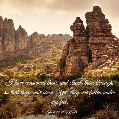 Picture 03 - 2 Samuel 22:39 WEB - I have consumed them, and struck them through, so - Bible Verse Picture